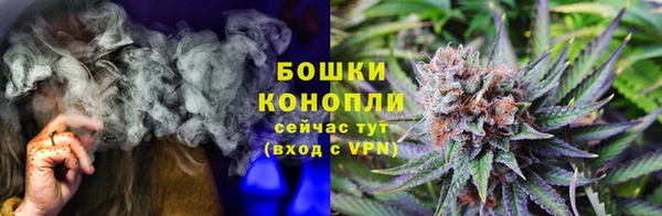 шишки Нея