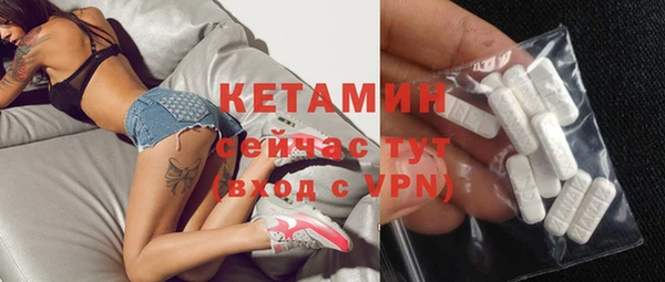шишки Новодвинск